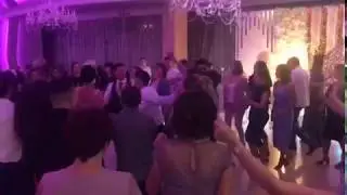 Как охотится дуэт 