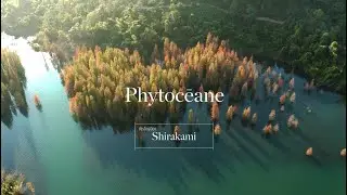 Destination SHIRAKAMI