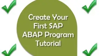 Learn SAP ABAP Basics - SAP Training - Learn ABAP Basic Programming and Create Your First Program