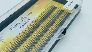 NesuraBeauty Swallowtail 20D 11mm 1H