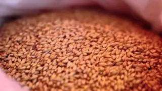 Пивной клуб Крист