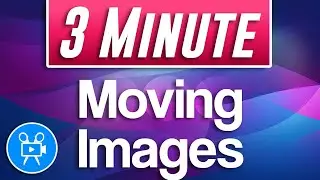 How to Move Images (Animate Movement) | Movavi Video Editor Plus