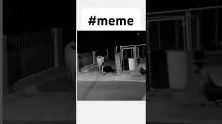 #meme