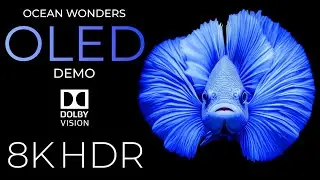 Ocean Wonders OLED Demo HDR 8K Ultra HD Dolby Vision™ 60fps