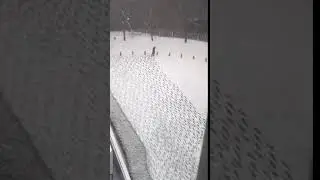 Сходить в кино Бухать на вписке А может лучше