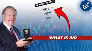 Understanding IVR