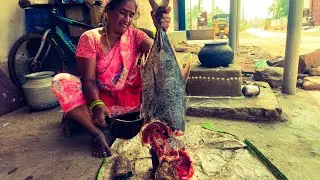 8 kg fish cutting full video|cj Telugu