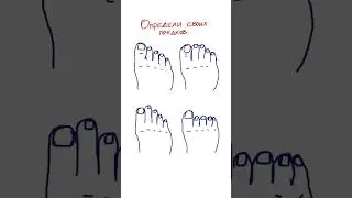 Какие твои ноги?