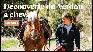 Découverte de l'équitation dans le Verdon