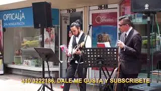 MUSICOS BOGOTA EVENTOS