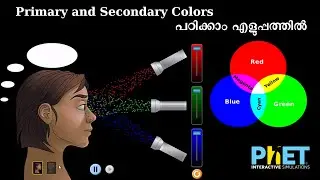 PhET Simulation | Color Vision | Easy Physics.