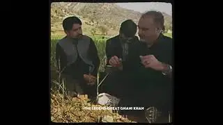 The 