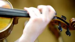 16 Viola Jay Haide a lancienne Maggini copy anno 2012