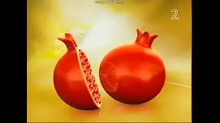 הרשות השנייה לטלוויזיה ולרדיו - מעברון לחגי תשרי