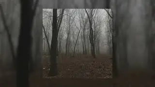 rizza - dance with me (demo)