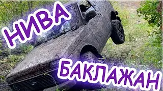 Нива баклажан всех порвала, а может и нет...