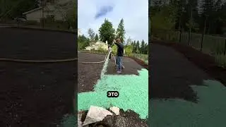 How Rich Canadians Grow the Perfect Lawn Without a Single Seed