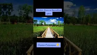 Отдых ВЕСНОЙ в усадьбе Диана на Браславских озёрах! 