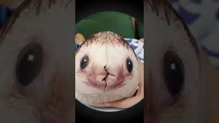 ошибка Вы не Сигма #популярное