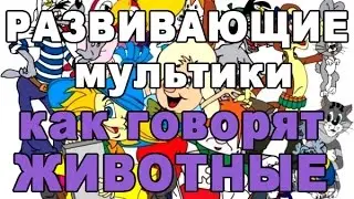Как говорят животные
