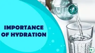 The Importance of Hydration.