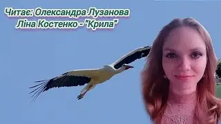 Автор: Ліна Костенко - 