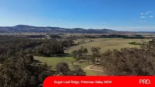 Primrose Valley Draft