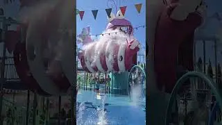 Colie Was At The Splash Pad In Universal Studios