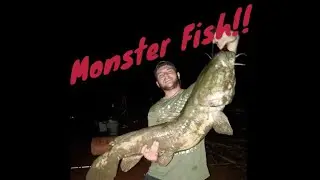 Allegheny River Fishing