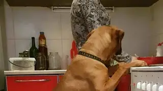 Як я зустрічаю свою мамусю!