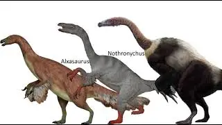 Therizinosauridae Size Comparison