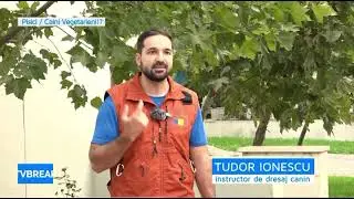 PERICOLUL acestei alimentații la CÂINELE și PISICA ta!