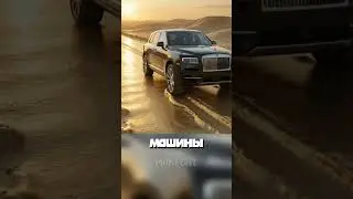 Why would a cat need a road like that?