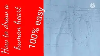 Drawing of heart || 100% easy || go step by step
