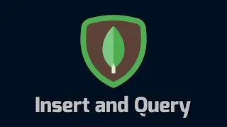 Learning MongoDB: Insert and Query [Easy]
