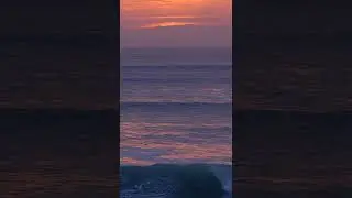 OCEAN LINES