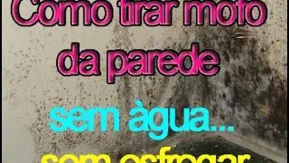 Tirar mofo da parede, sem usar àgua, sem esfregar... Diy