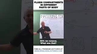 Fluids Compartments In Different Parts Of Body 
