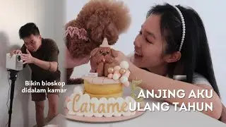 Beli Kue Ulang Tahun Untuk Anjing | Kamar Serasa Bioskop Pakai Proyektor Baru - Daily Vlog