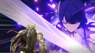 Raiden mgr vs genshit raiden