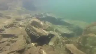 Монаховский карьер. Нижняя Крынка. Подводная съёмка.