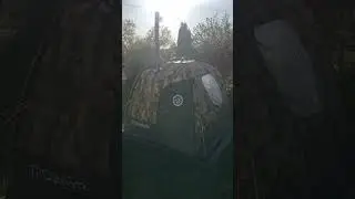Кайфандра и Жига 3 миниобзор