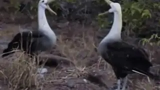 Приколы над людьми! Убойный юмор! Смех до слез!