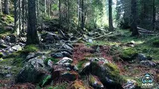 Valea Sâmbetei. Un loc de poveste.Short drone clip.