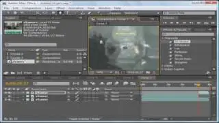 Adobe After Effects  : How to do/use 