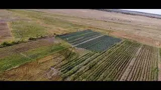 АРХИВНОЕ ВИДЕО. ОСЕНЬ 2020. СЕЛО СТЕКЛЯНКА.СЕМЕЙ.ВКО