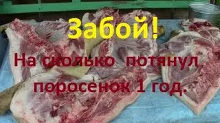 Забой 