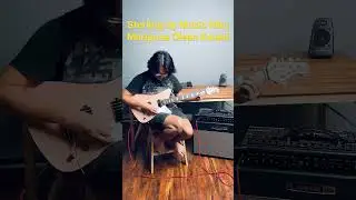 Sterling by Music Man Mariposa Clean Sound Check