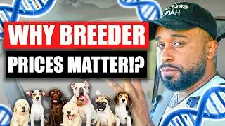 Why Breeder Prices Matter when buying dogs!?