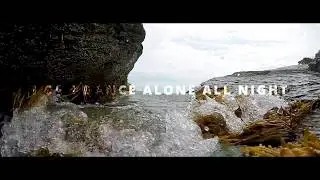 Royal Brothers x SHIV (feat. Tyler & Ryan) - Without You (Official Lyric Video)